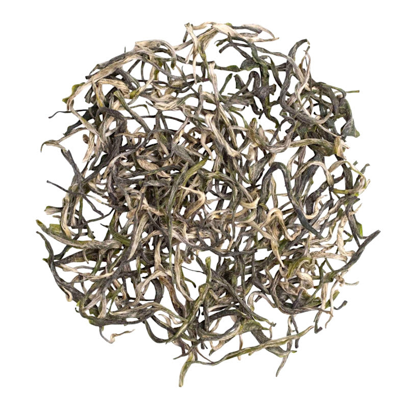Xin Yang Mao Jian, spring 2026