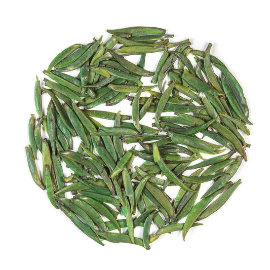 Zhu Ye Qing, spring 2025